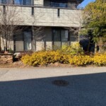 駐車場新設工事before7